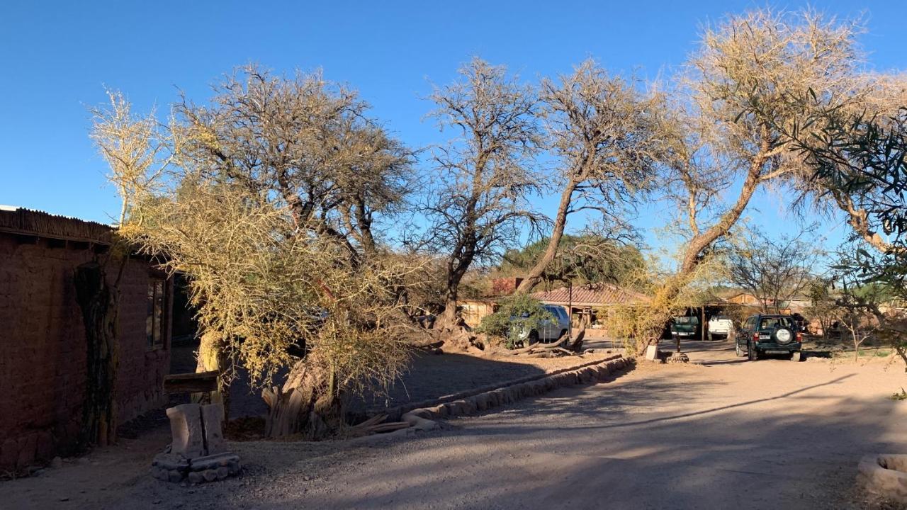 Casa Adobe - Tranquilidad En El Desierto De Atacama Villa ซานเปโดร เด อาตากามา ภายนอก รูปภาพ